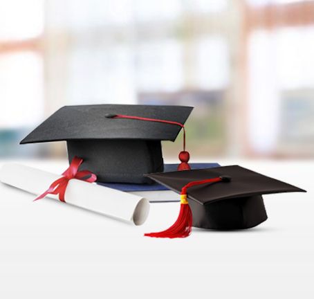 Degree Card Degree Card